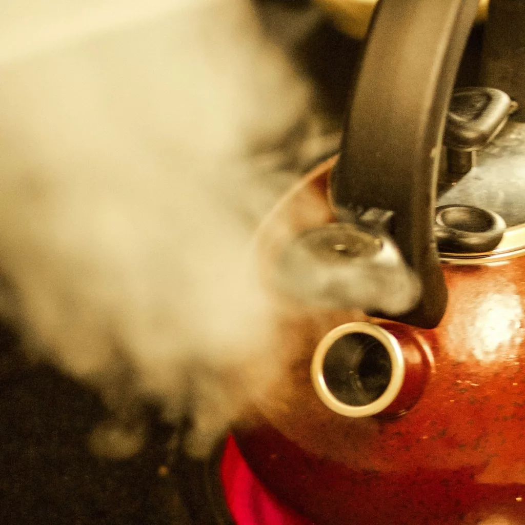 Kettle with steam